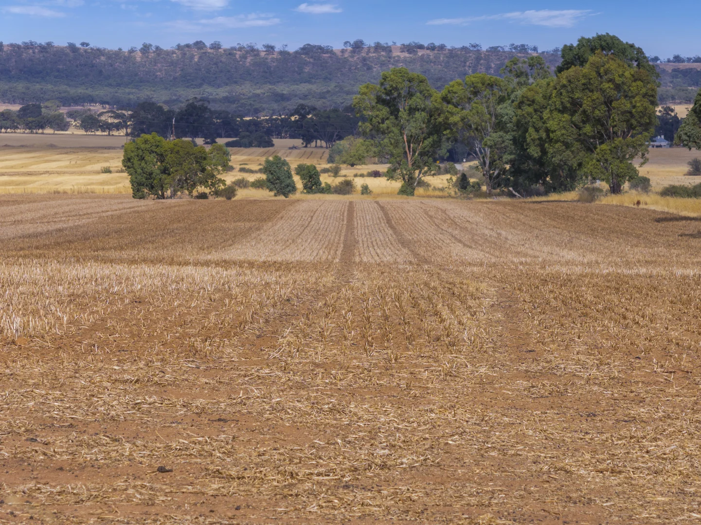Additional image 7 of 'Murrays' Orana Road, Marrabel SA 5413