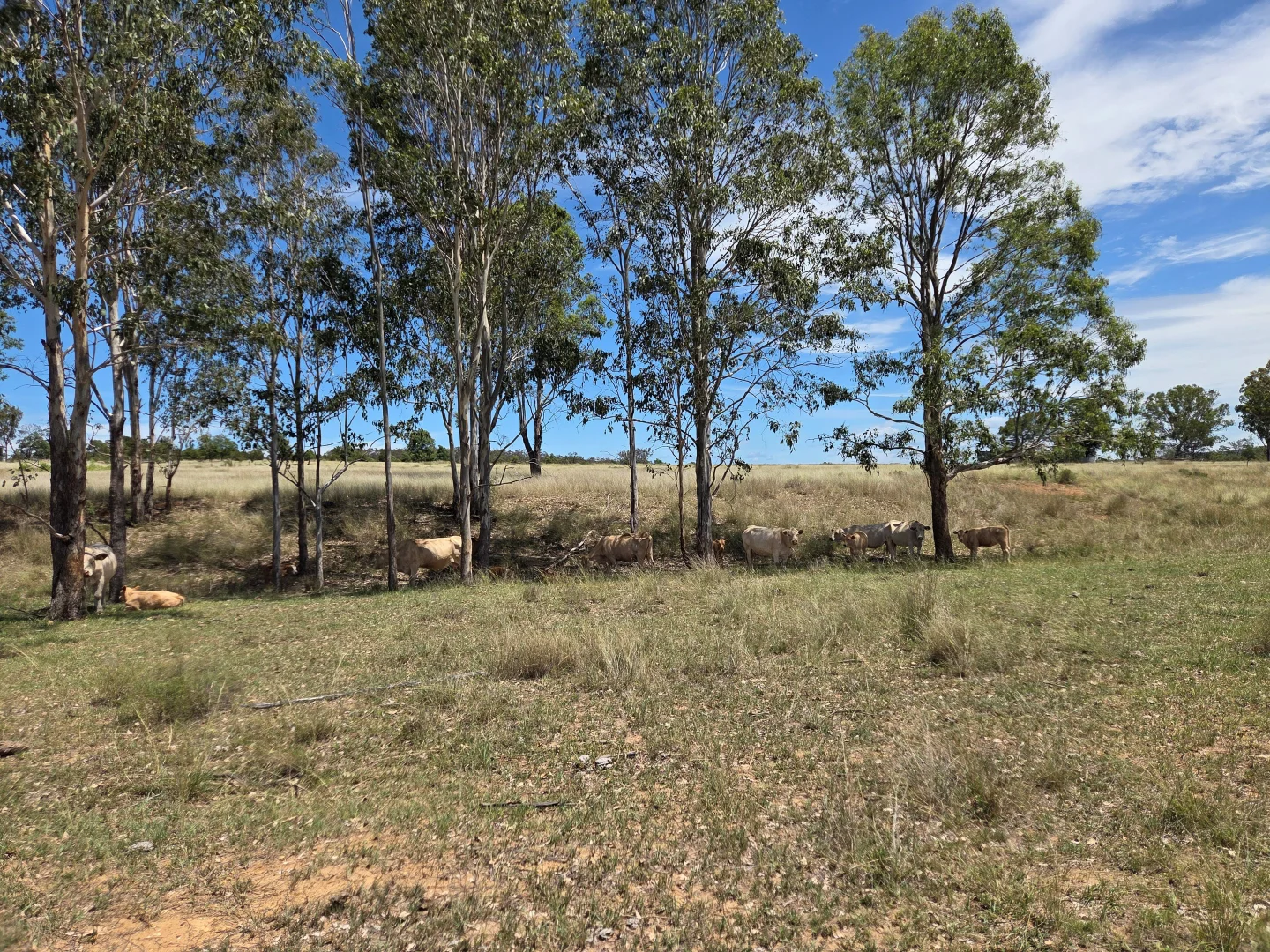 Additional image 17 of Allies Creek Road, Monogorilby QLD 4626