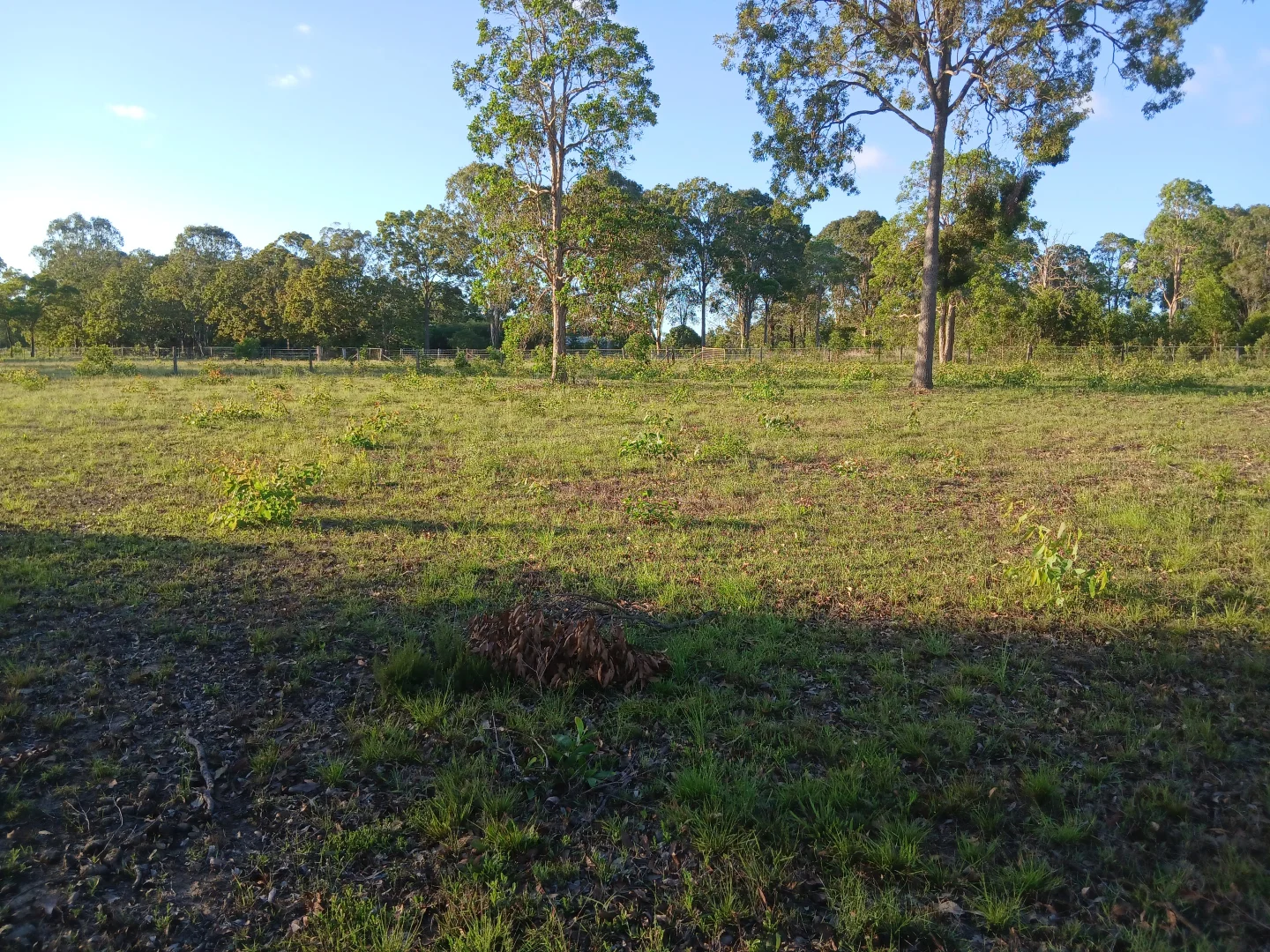 Additional image 5 of 139 (Lot 2) Moorabinda Drive, Sunshine Acres QLD 4655