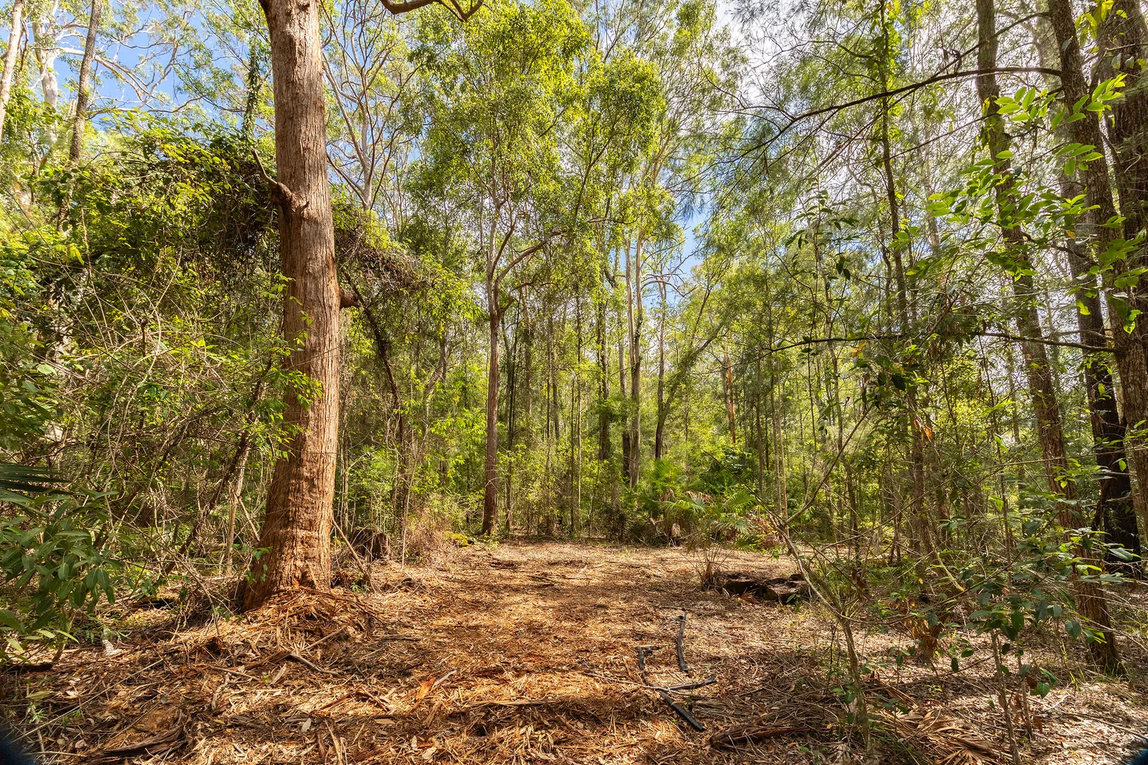 Additional image 27 of 897 Wattley Hill Road, Bungwahl NSW 2423
