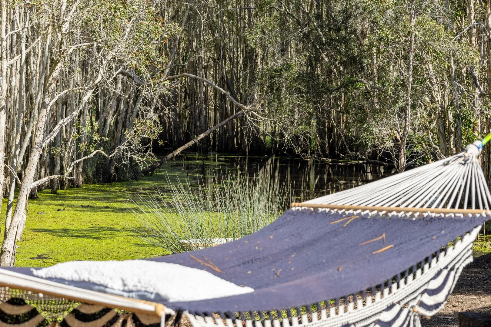 Additional image 21 of 66-72 Flowers Road, Caboolture QLD 4510