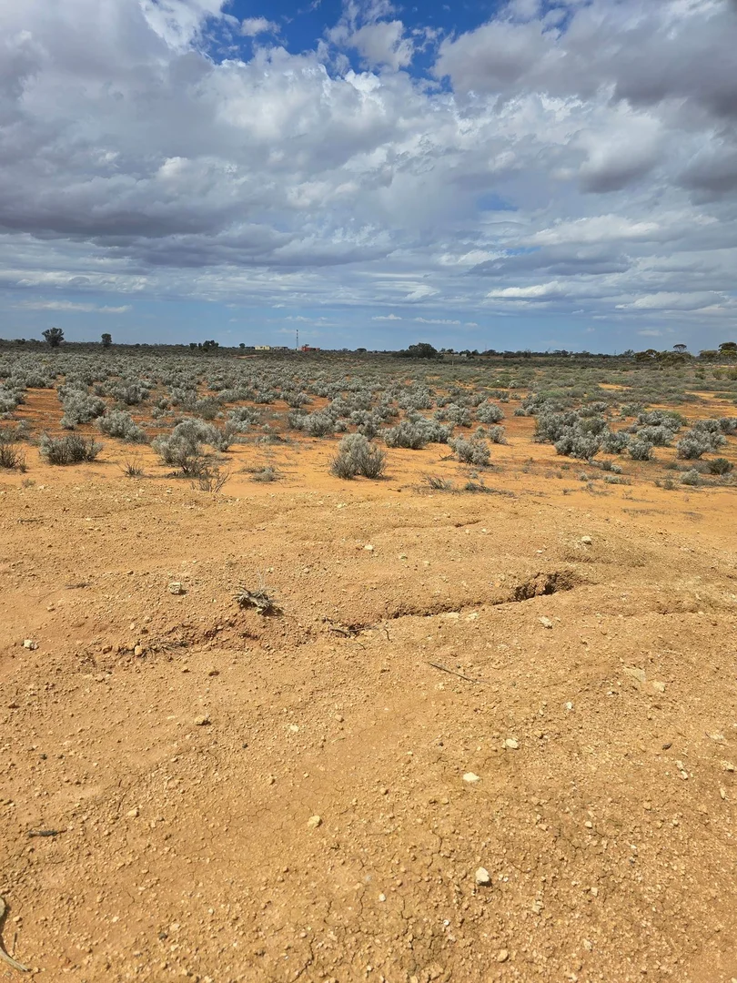 Additional image 2 of 121 Yandiah Road, Morgan SA 5320