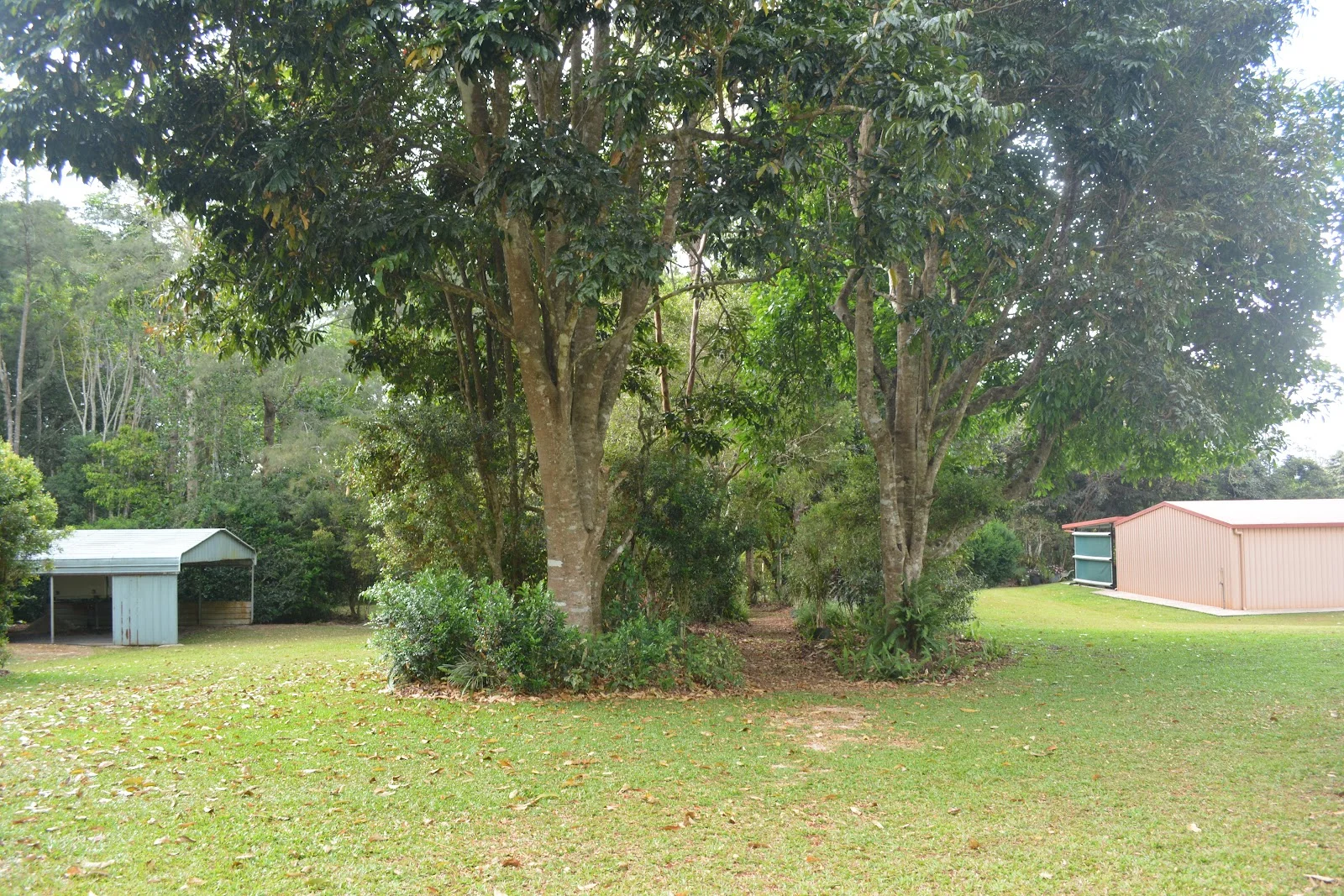 Additional image 32 of 20 Russell Road, Lake Eacham QLD 4884