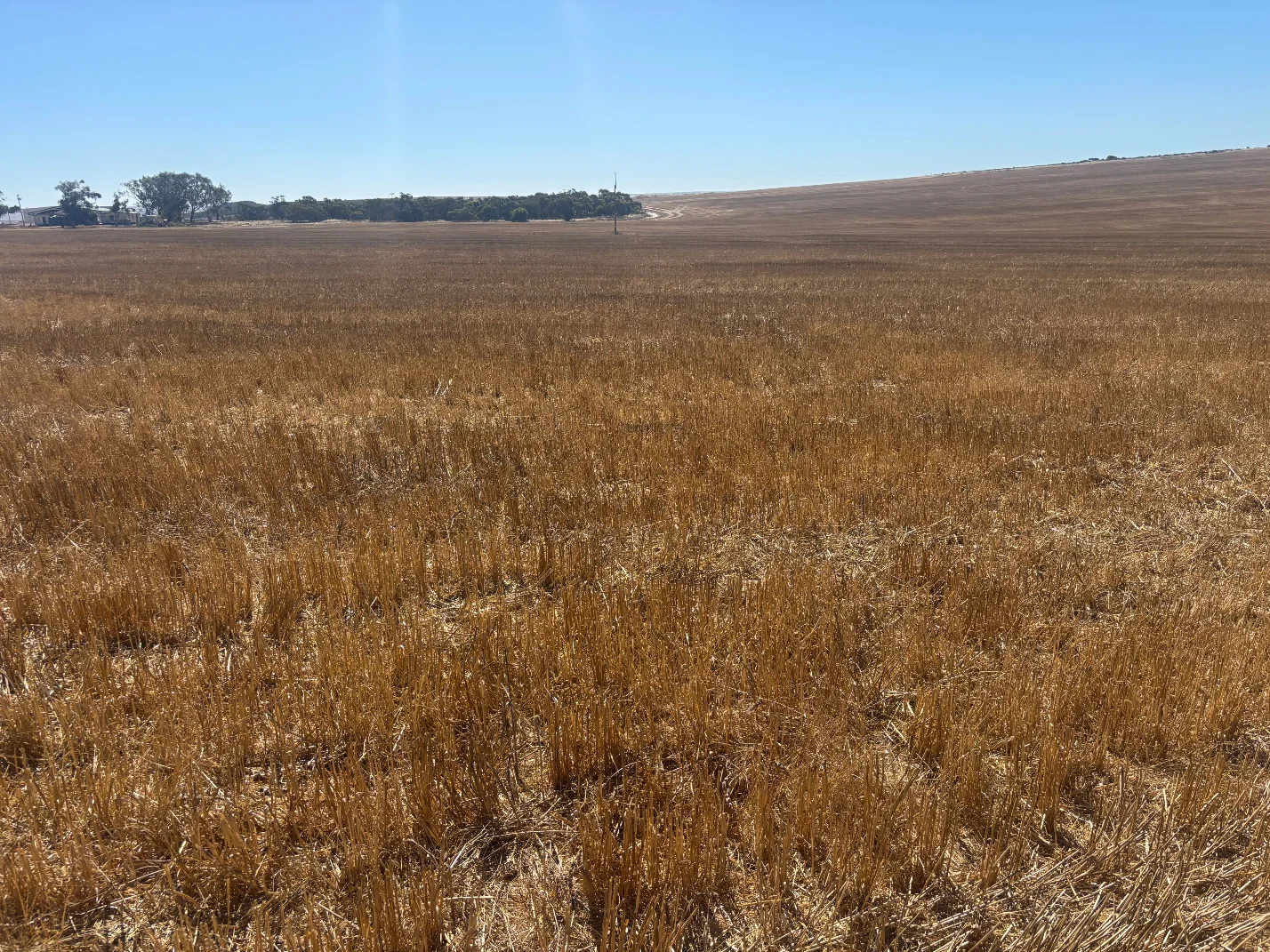 Additional image 9 of 6062 Coorow-Greenhead Road, Warradarge WA 6518