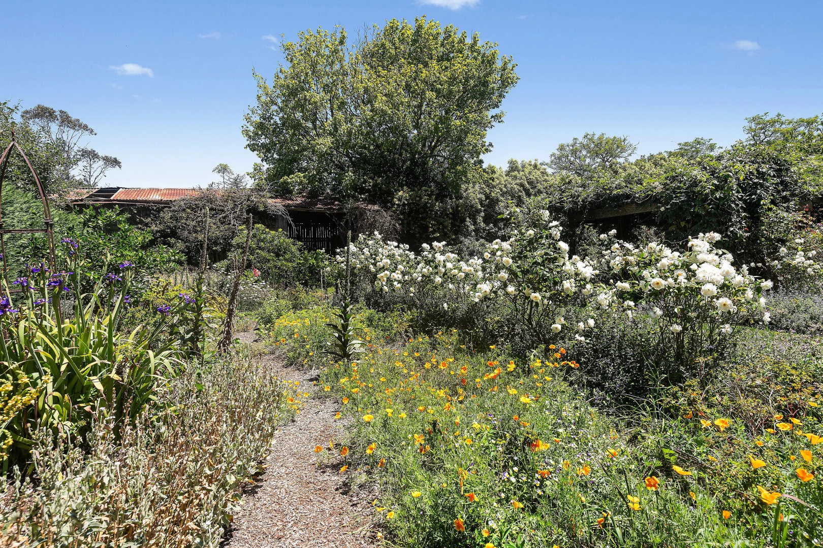 Additional image 23 of 12-14 School Lane, Exeter NSW 2579