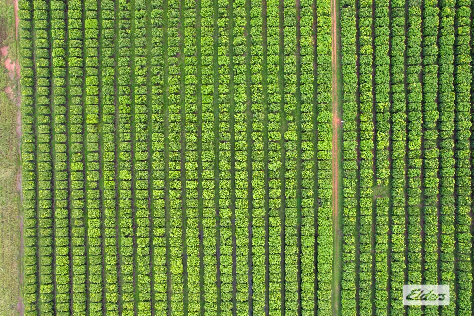 Additional image 34 of 695 Gorge Road, Katherine NT 0850