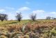 Additional image 41 of Isle Farm, Heaton, Rushton Spencer, SK11 0SR