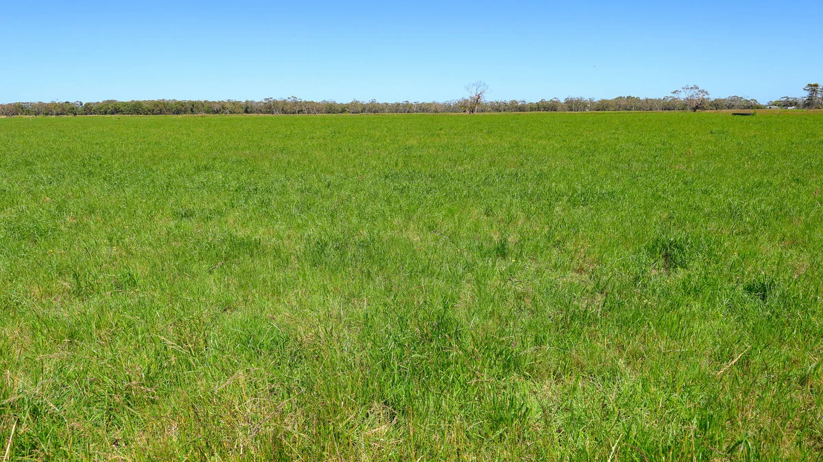 Additional image 23 of 111 Smith Street, Heywood VIC 3304