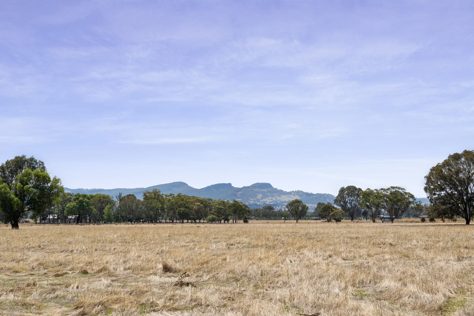 Additional image 3 of 501 Dights Forest Road, Table Top NSW 2640