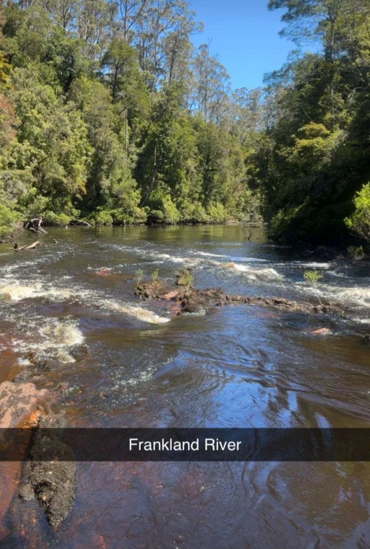 Additional image 4 of lot 1 1824490 Edward Street West Coast [Balfour], Temma TAS 7330