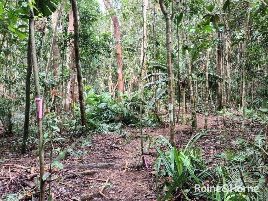 Additional image 22 of Lot 11 Milky Pine Road, Kimberley, Daintree QLD 4873