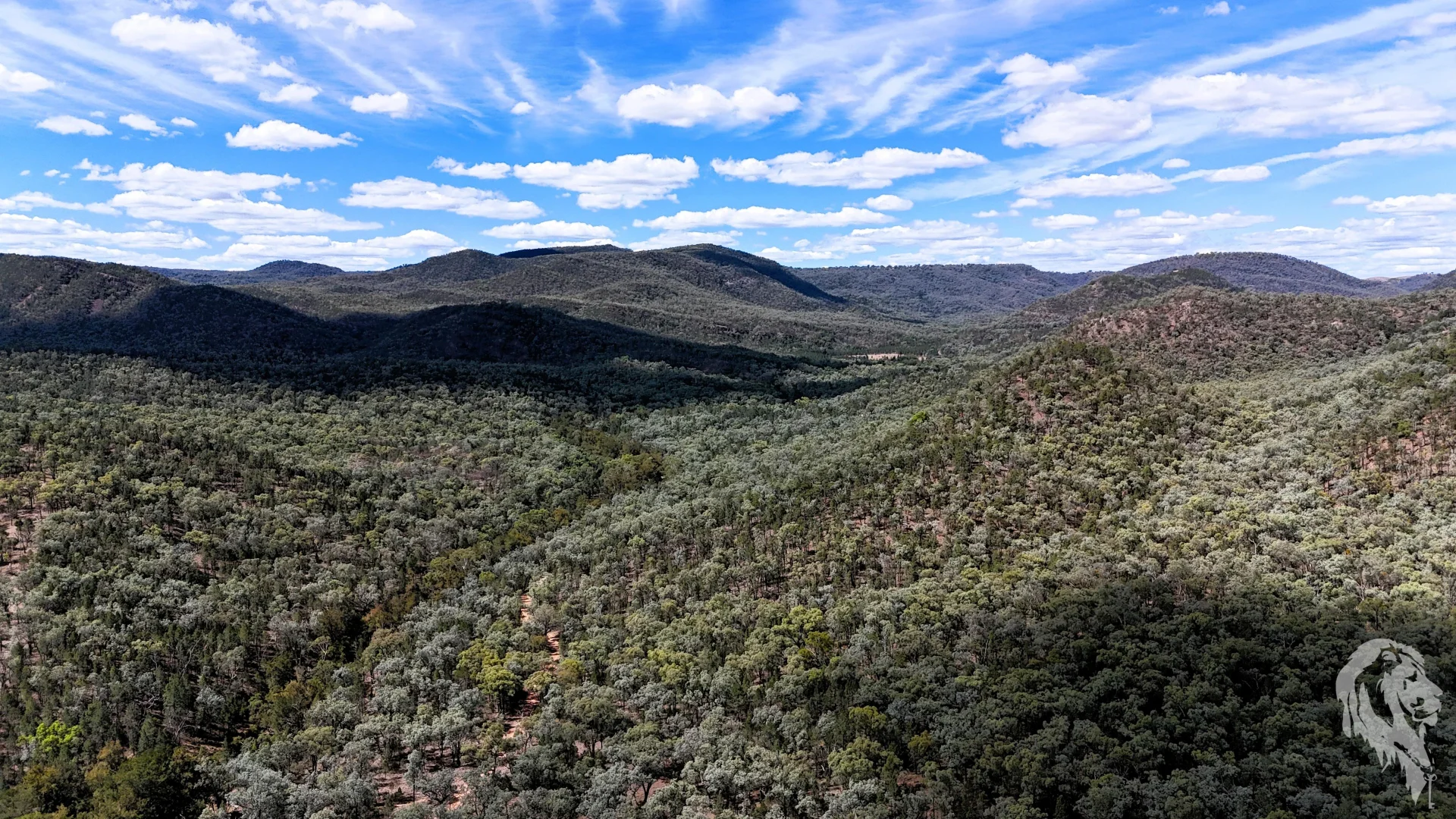 Additional image 6 of 312 Spion Kop Road, Maules Creek NSW 2382