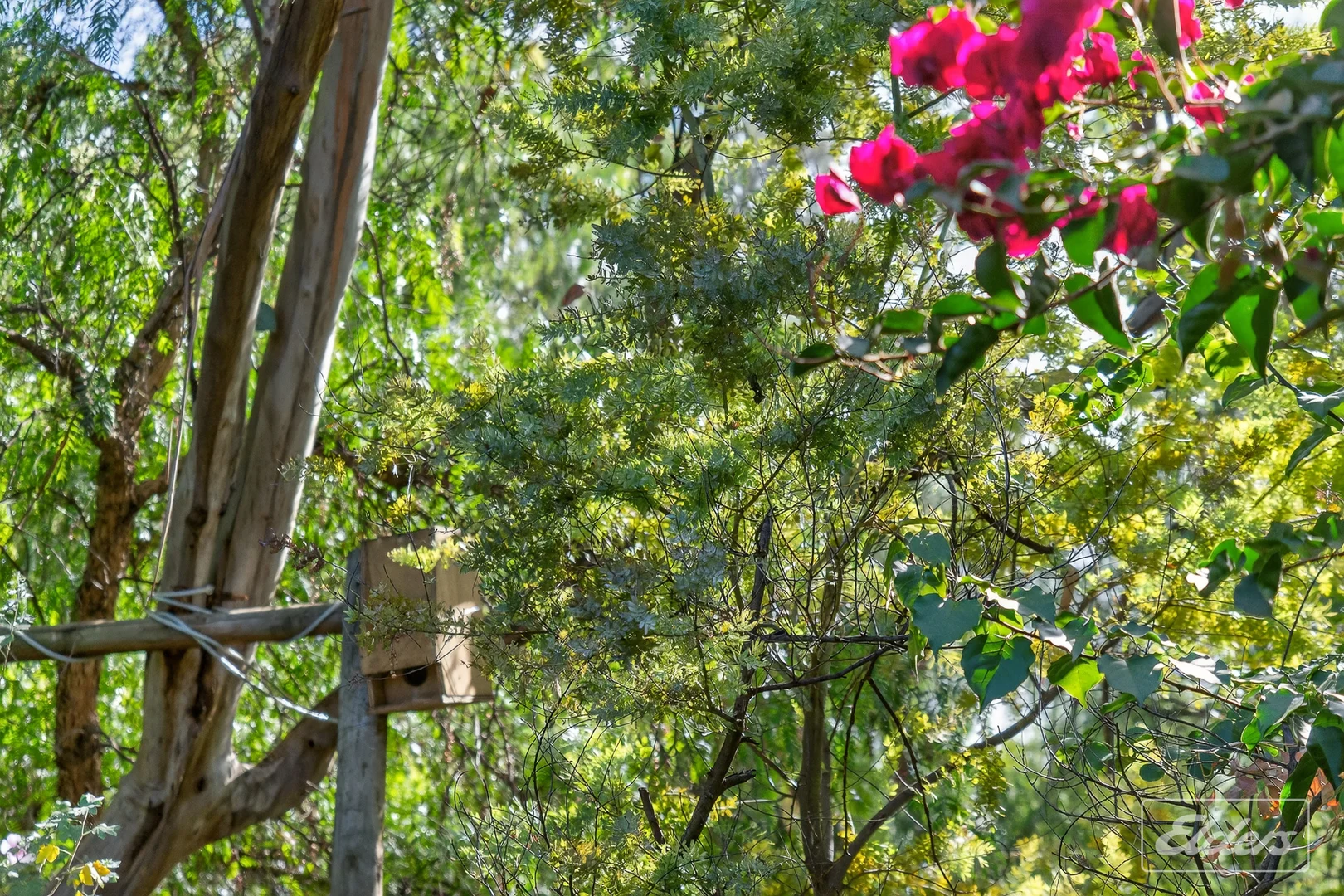 Additional image 23 of 7 Luders Street, McLaren Vale SA 5171