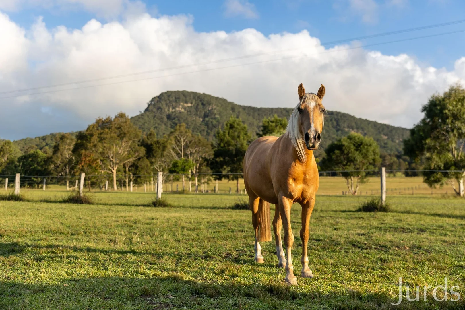 Additional image 34 of 256 Mill Lane, Quorrobolong NSW 2325