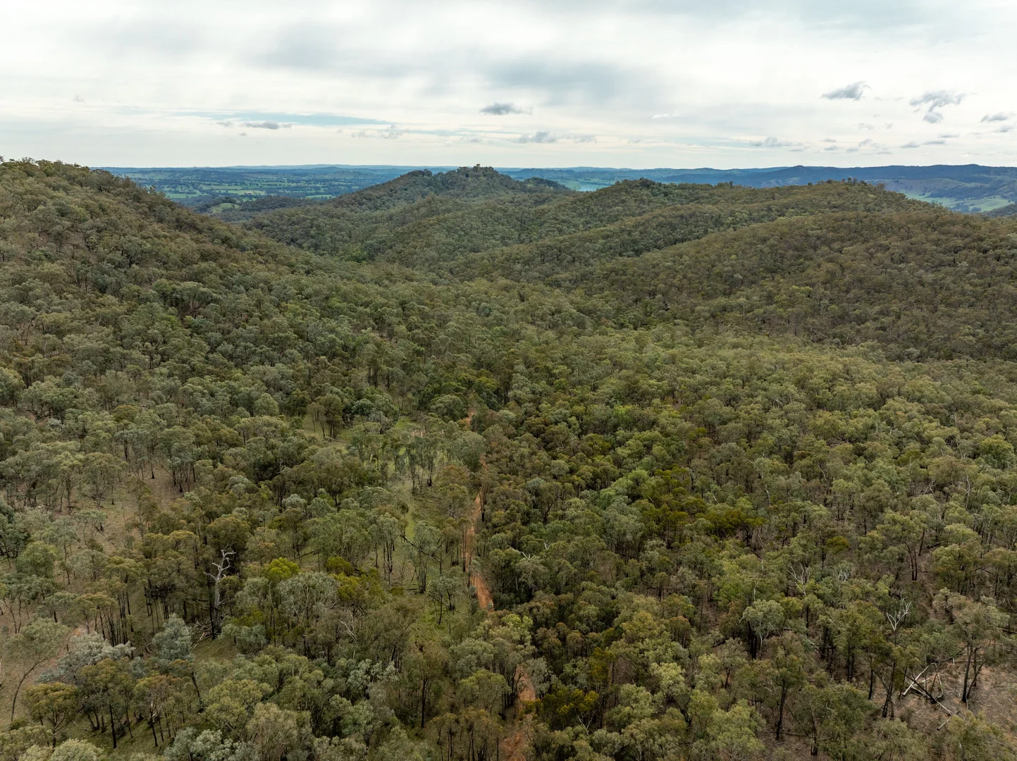 Additional image 49 of 2543 Westbrook Road, Oberne Creek NSW 2650