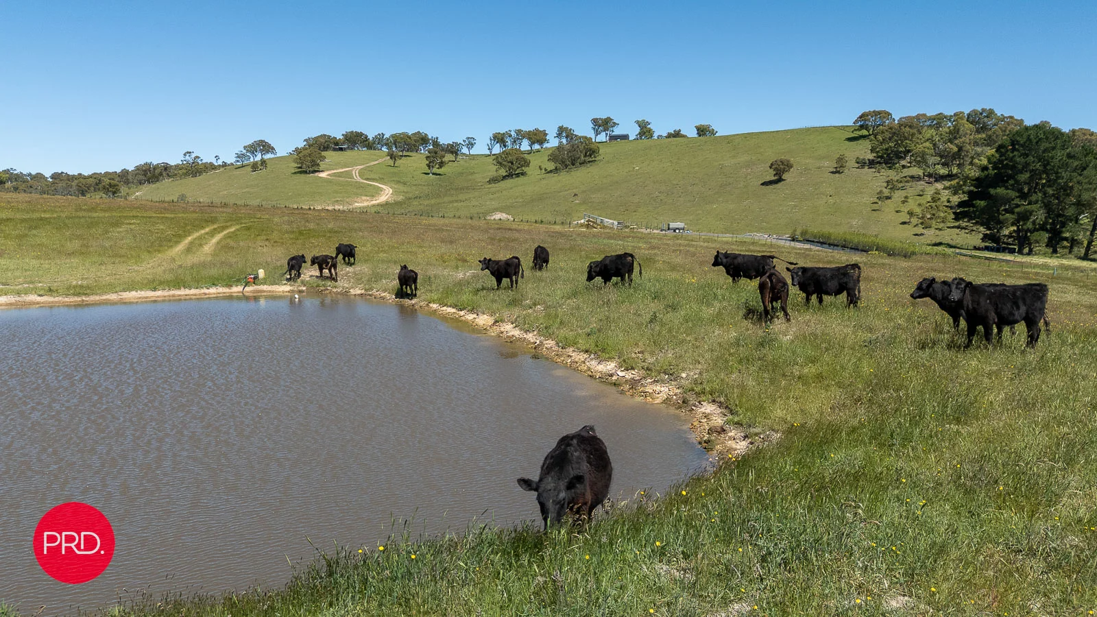 Additional image 13 of 2287 Bungendore Road, Tarago NSW 2580