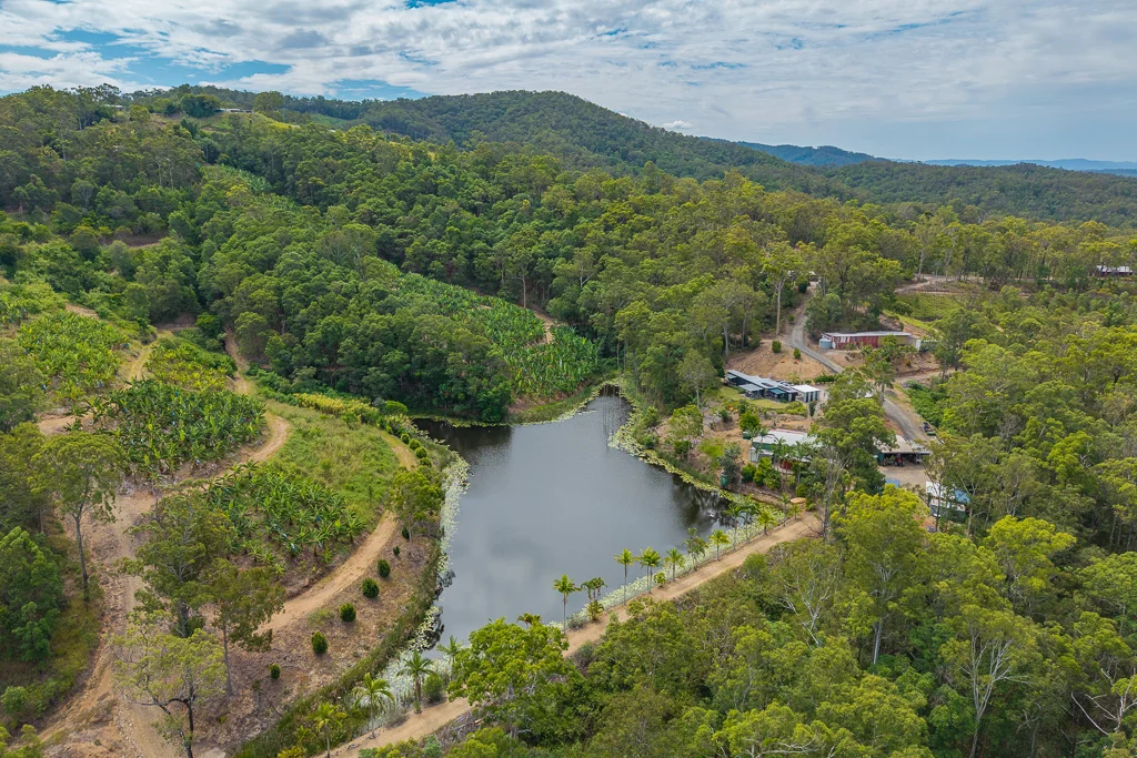 Additional image 4 of 349 Jackson Road, Wamuran QLD 4512