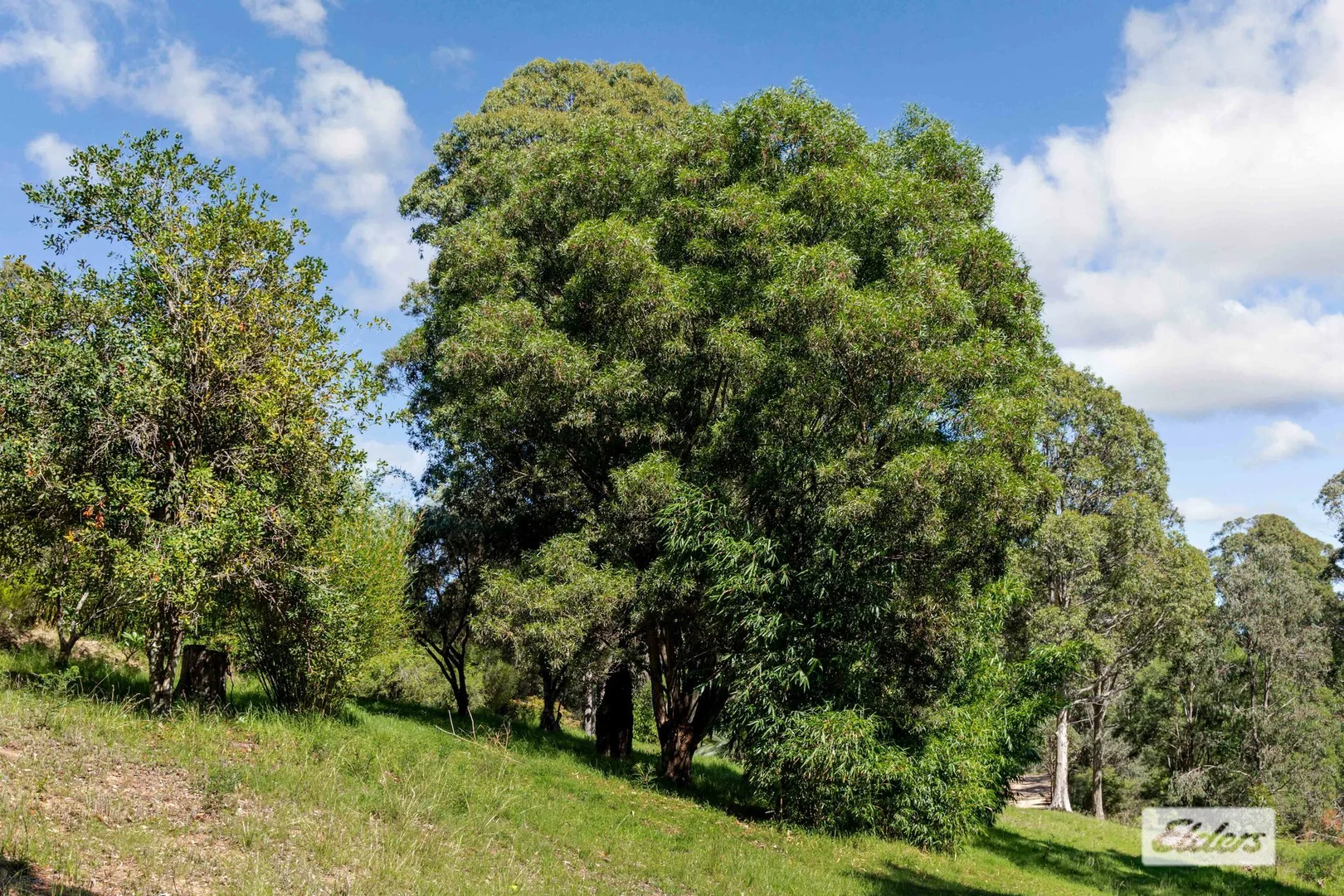 Additional image 7 of Lot 60 Egans Road, Runnyford NSW 2536