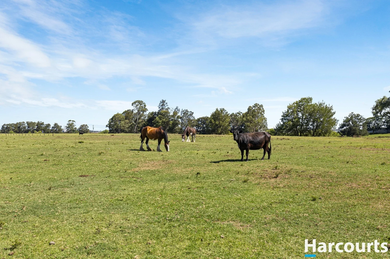 Additional image 5 of 34 Market Street, Hinton NSW 2321