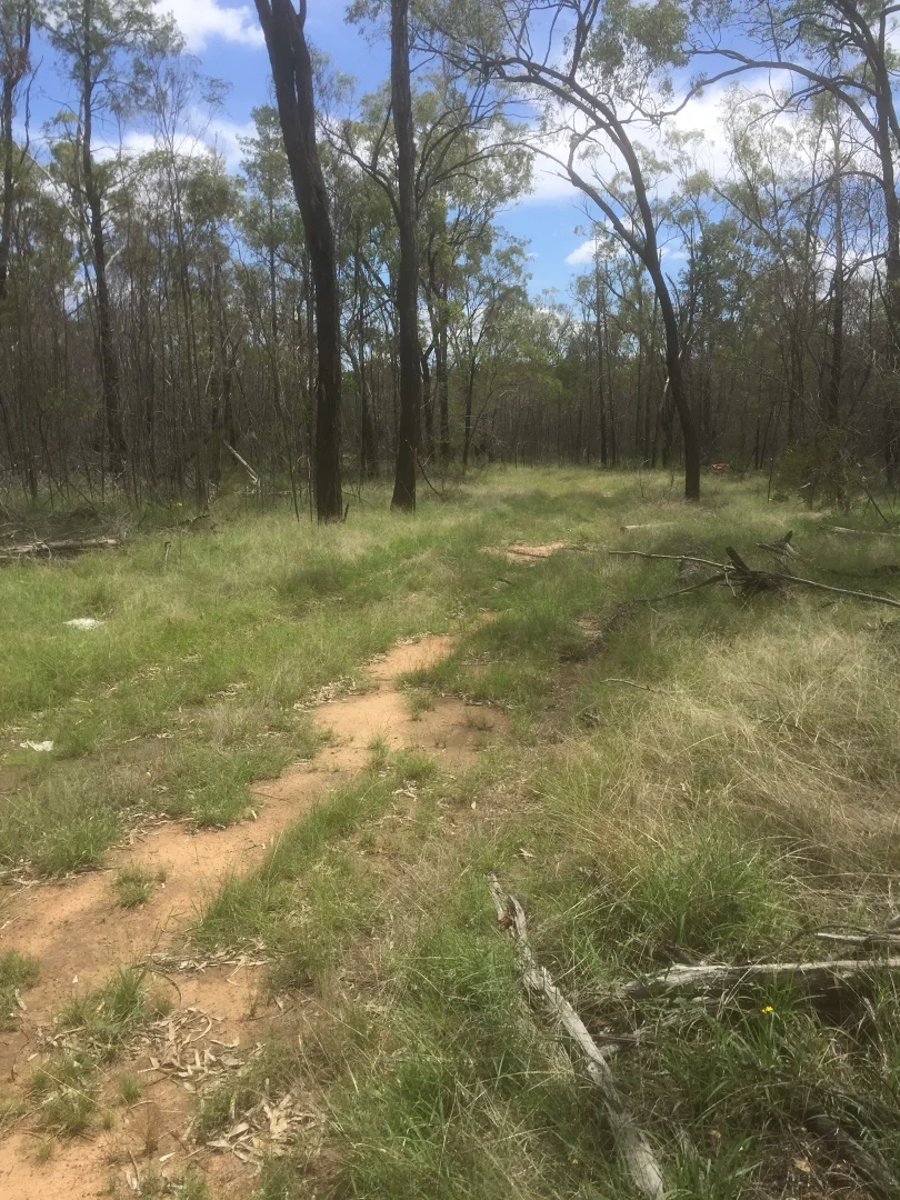 Additional image 3 of 324 Lucky Road, Tara QLD 4421