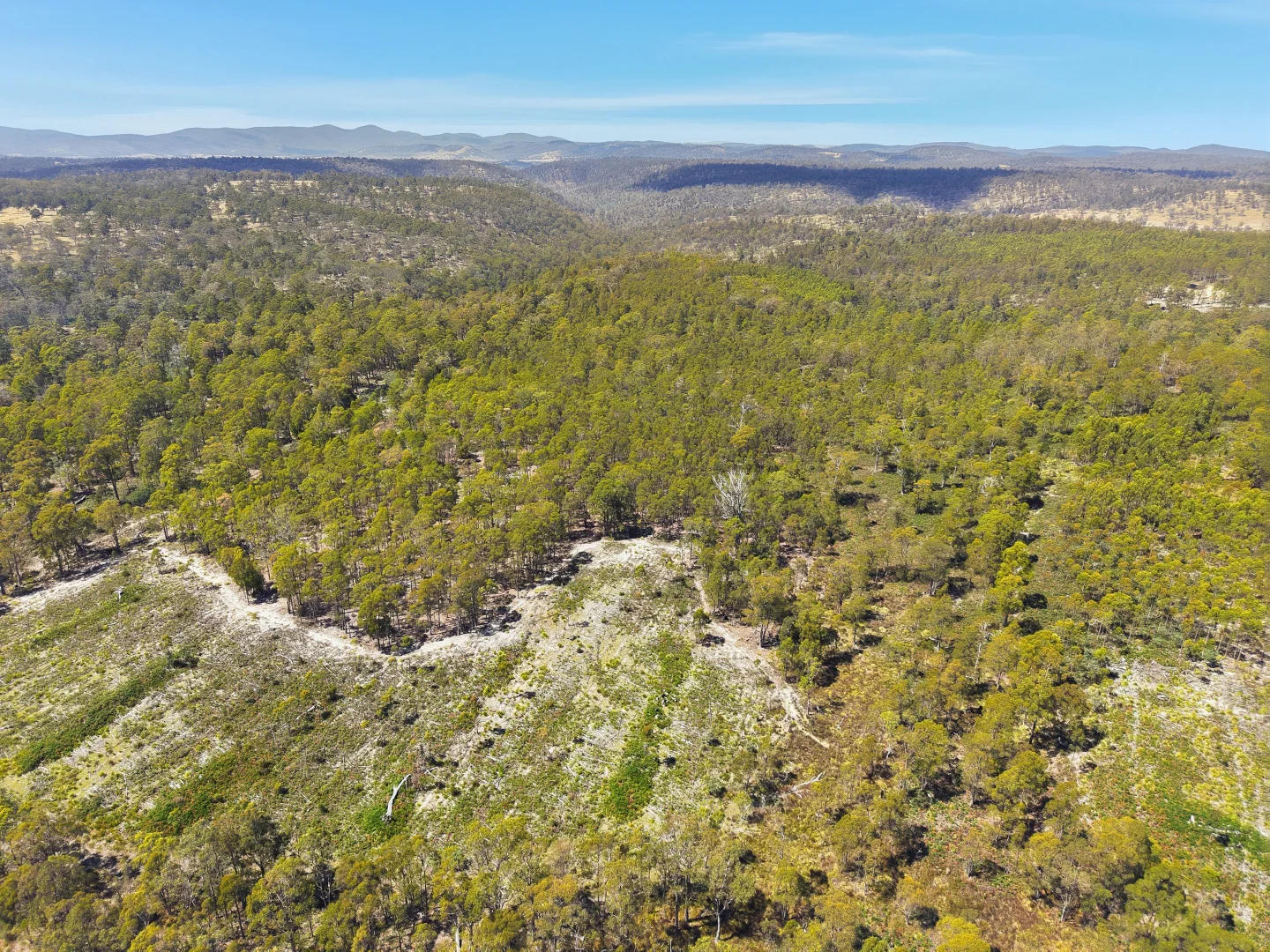 Additional image 8 of 422 Levendale Back Road, Levendale TAS 7120