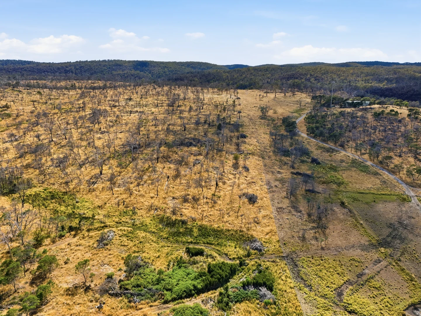 Additional image 21 of 75 Prossers Forest Road, Ravenswood TAS 7250