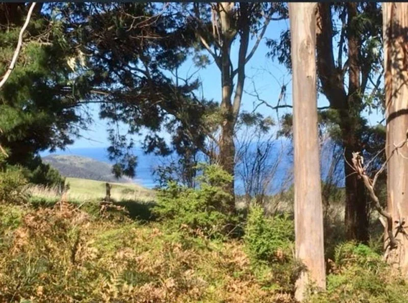 Additional image 3 of 340 Sunnyside Road, Wongarra VIC 3234