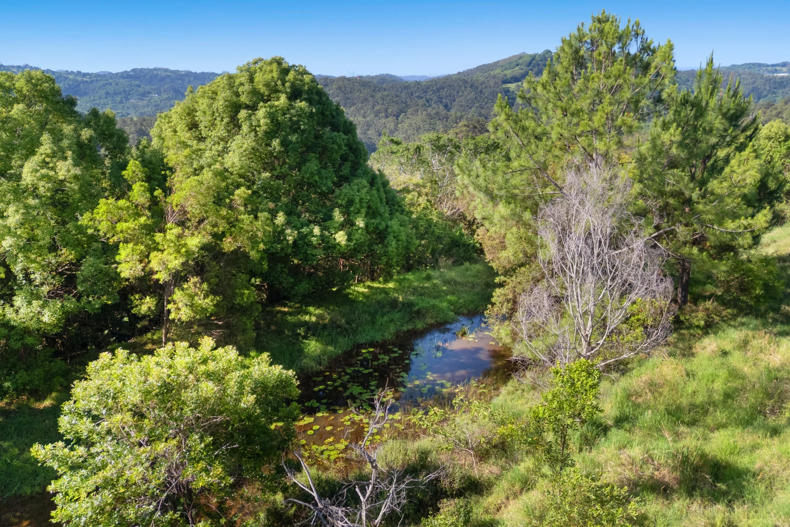 Additional image 29 of 141 Blissetts Road, Carool NSW 2486