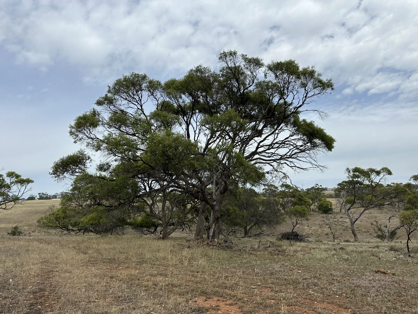 Additional image 8 of Lot 1 Highland Road, Monarto SA 5254