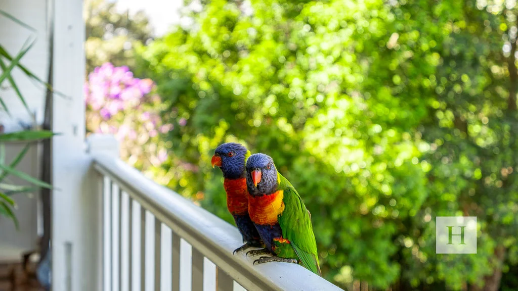 Additional image 7 of 35 Nicoll Crescent, Taree NSW 2430