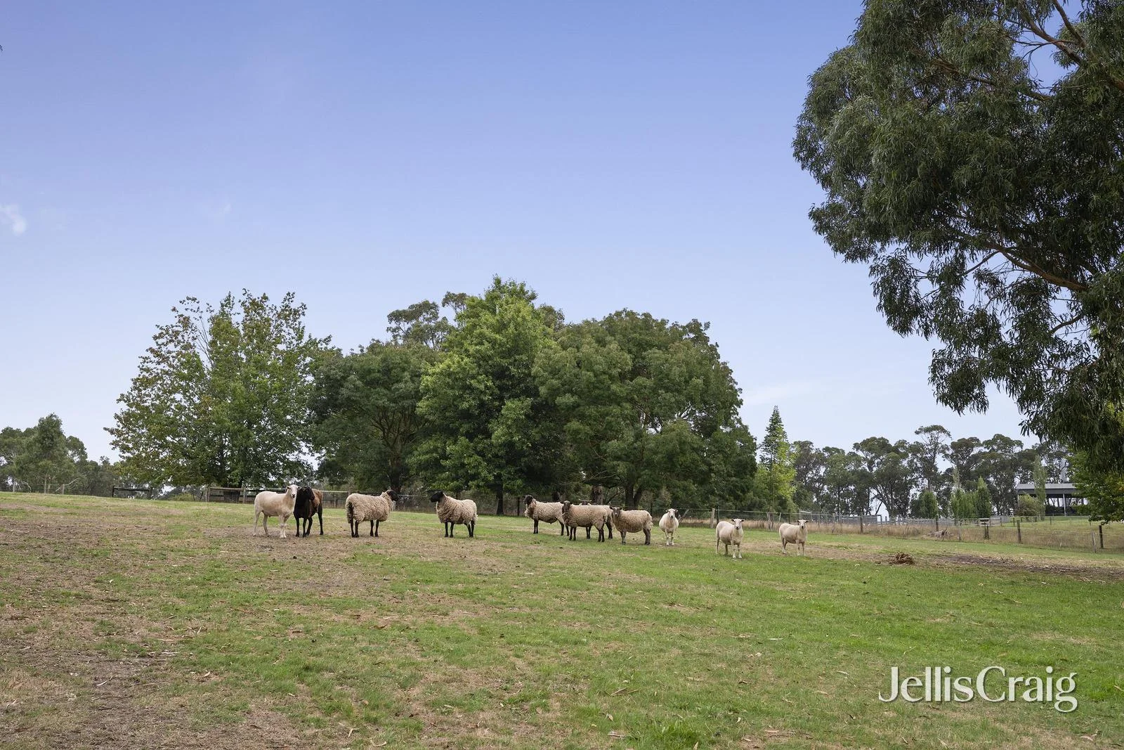 Additional image 22 of 7 Boundary Road, Lilydale VIC 3140