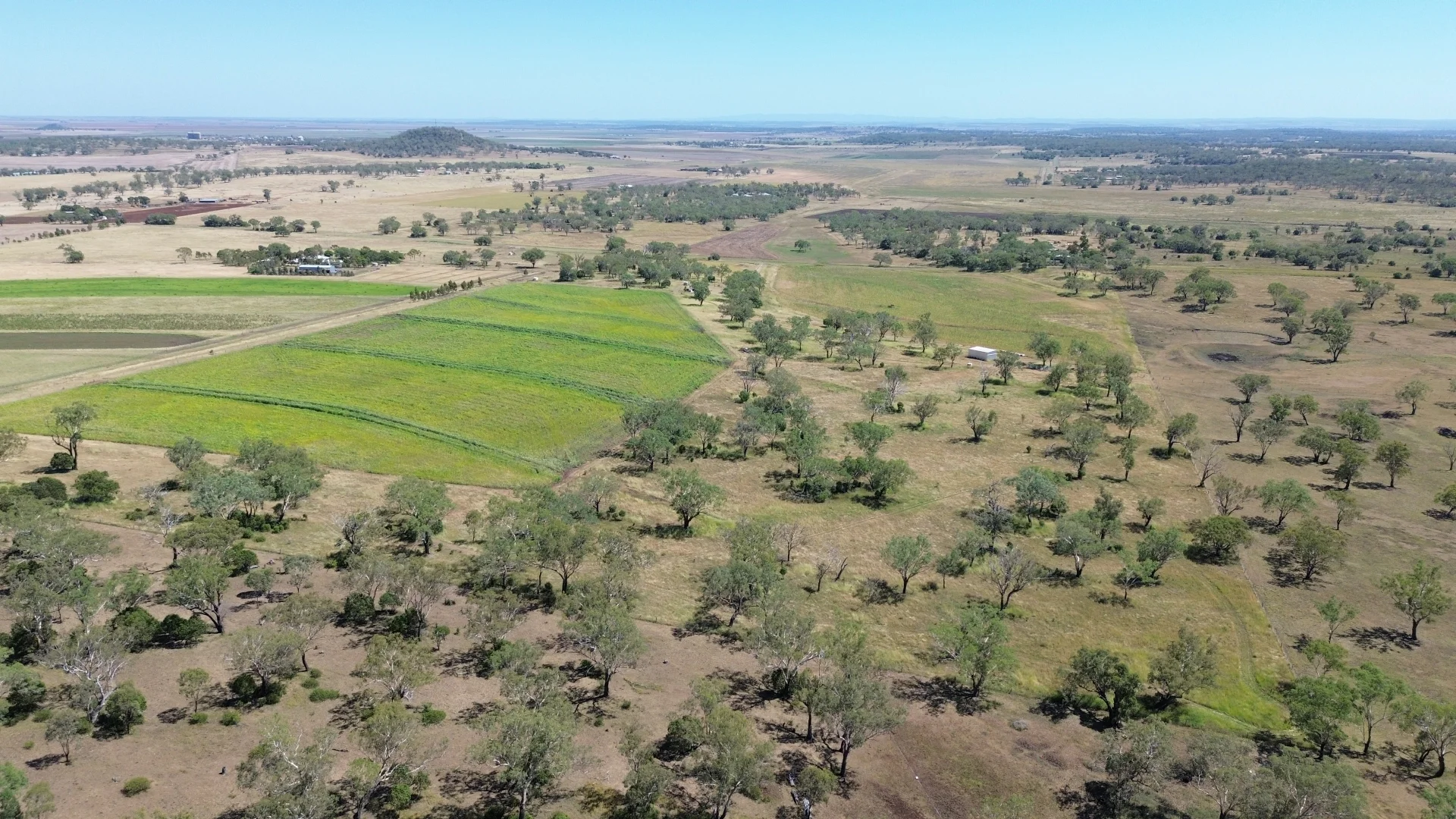 Additional image 6 of 242 Ehrlich Road, Linthorpe QLD 4356