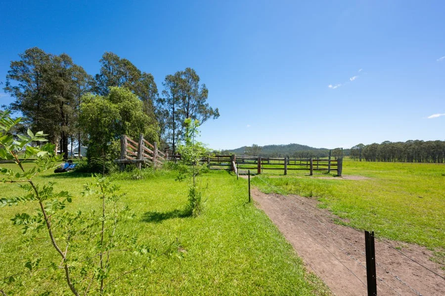 Additional image 16 of 207 Laytons Range Road, Nymboida NSW 2460