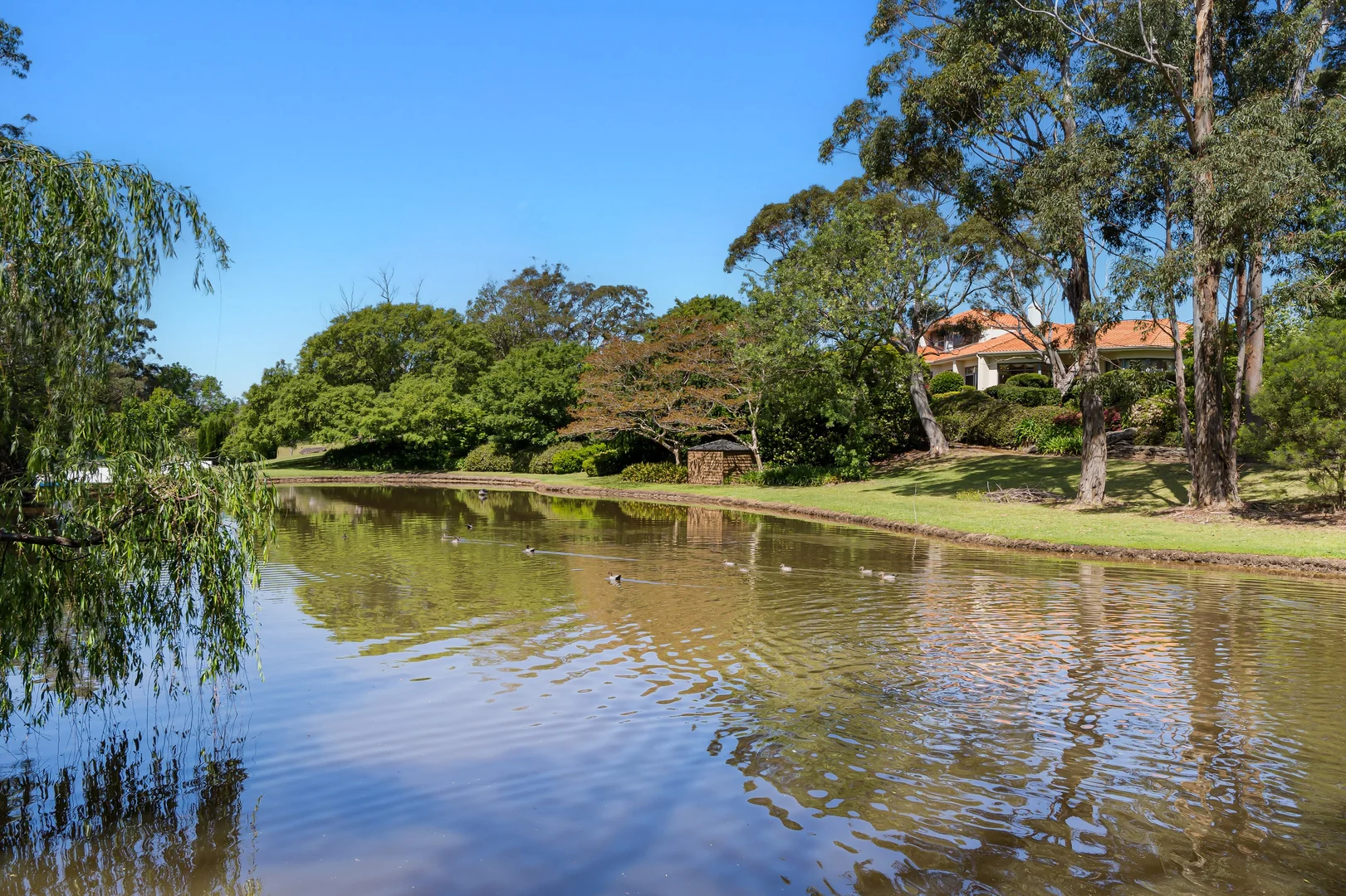 Additional image 32 of 17-19 Harris Road, Dural NSW 2158