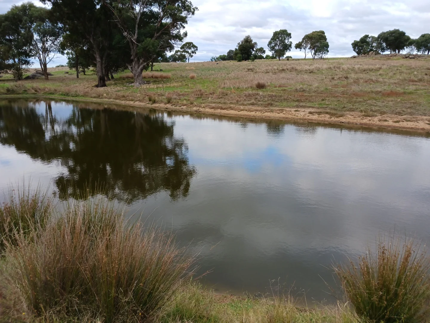 Additional image 5 of 2 Springvale Road, Lockwood South VIC 3551
