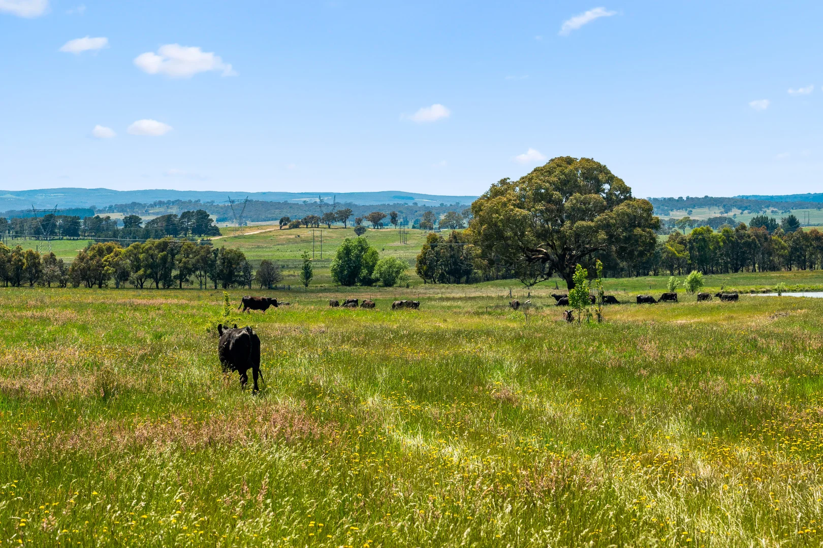 Additional image 43 of 87 Westmead Lane, Sutton NSW 2620