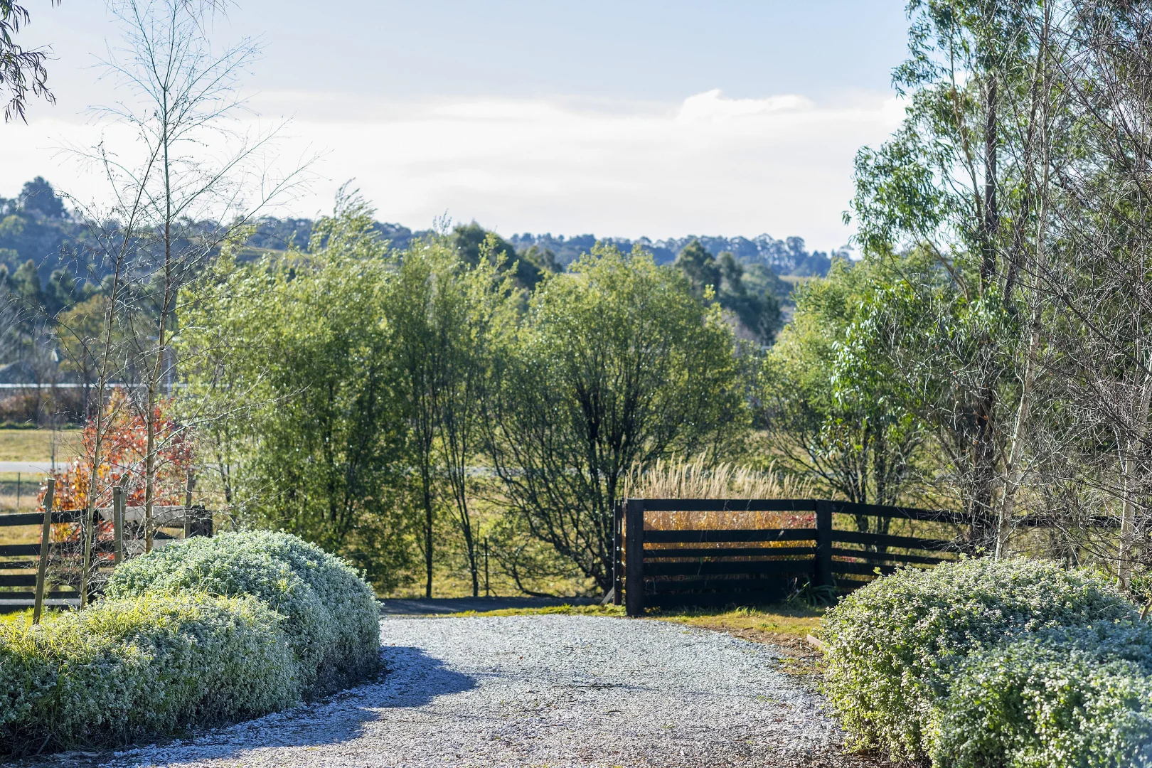 Additional image 5 of 54 Greasons Road, Bundanoon NSW 2578