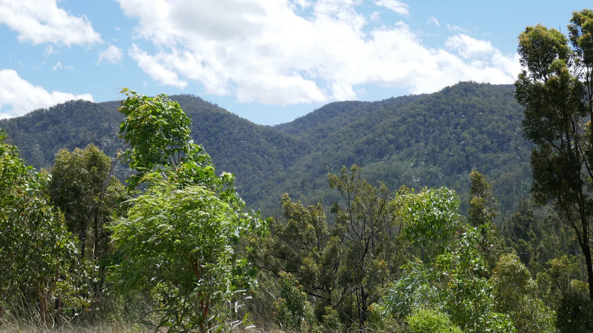 Additional image 11 of 3501b Rocky River Road, Rocky River NSW 2372