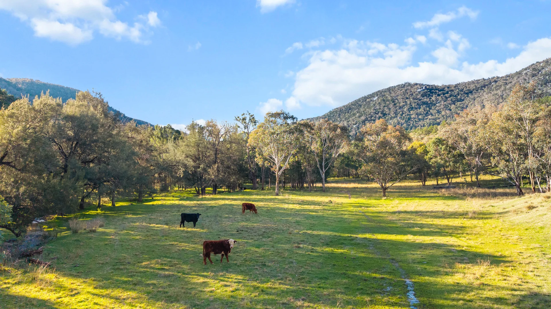 Additional image 4 of 24 Drop Bear Lane, Tamworth NSW 2340