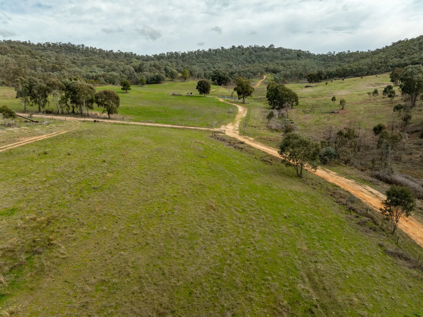 Additional image 41 of 2543 Westbrook Road, Oberne Creek NSW 2650