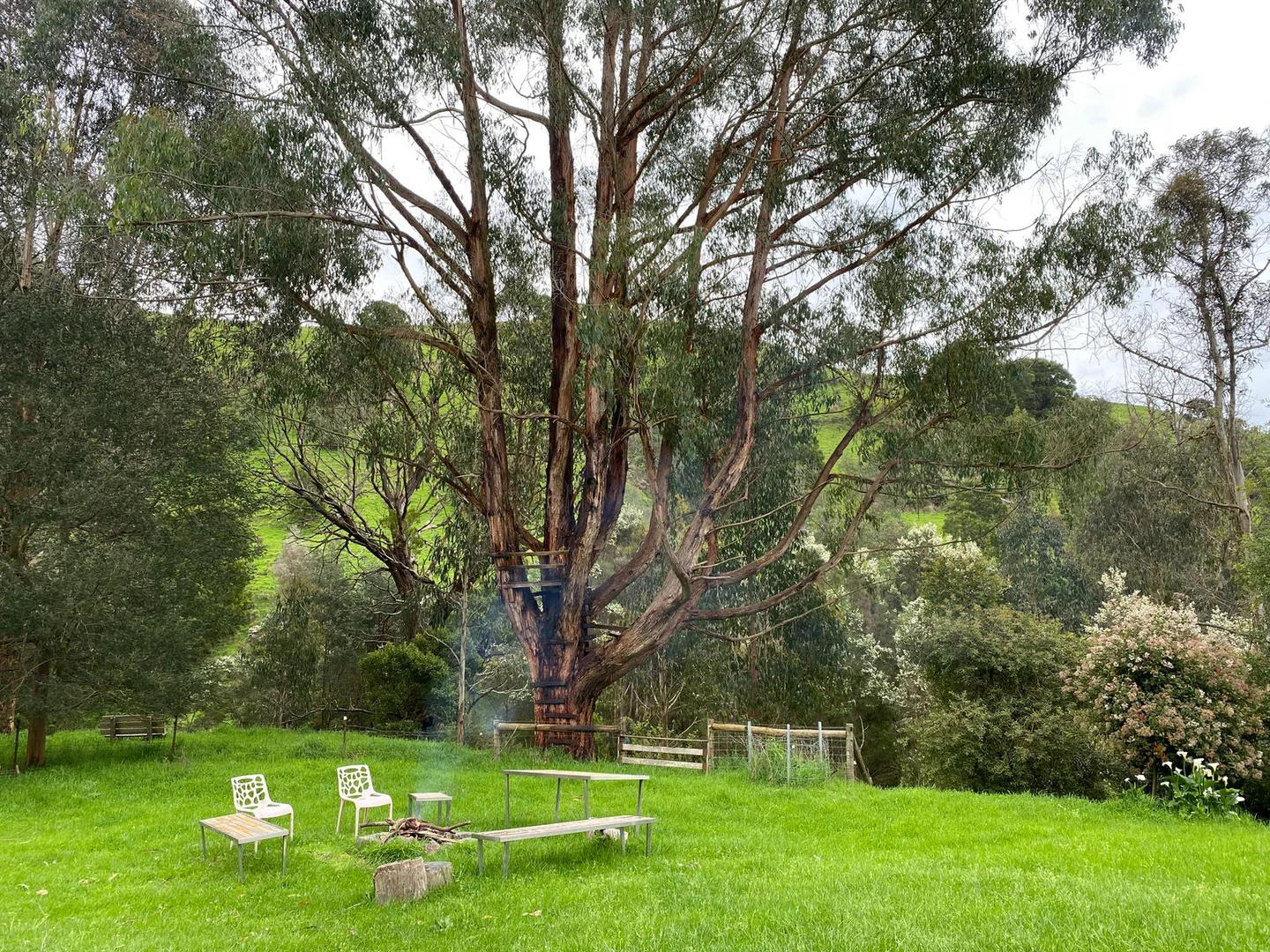 Additional image 21 of 1725 Wild Dog Valley, Strzelecki VIC 3950