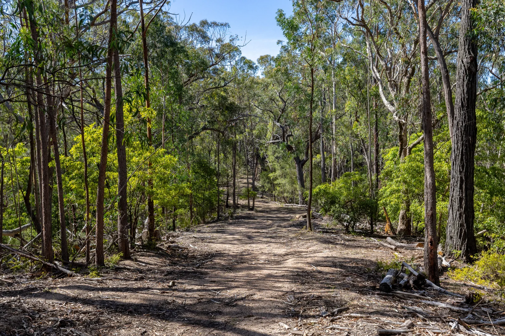 Additional image 19 of 464 Dorrigo Road, Brogo NSW 2550