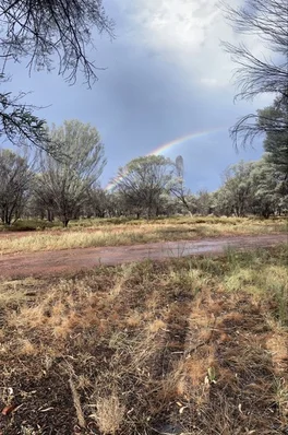 Additional image 28 of 1684 Diamantina Developmental Road, Charleville QLD 4470