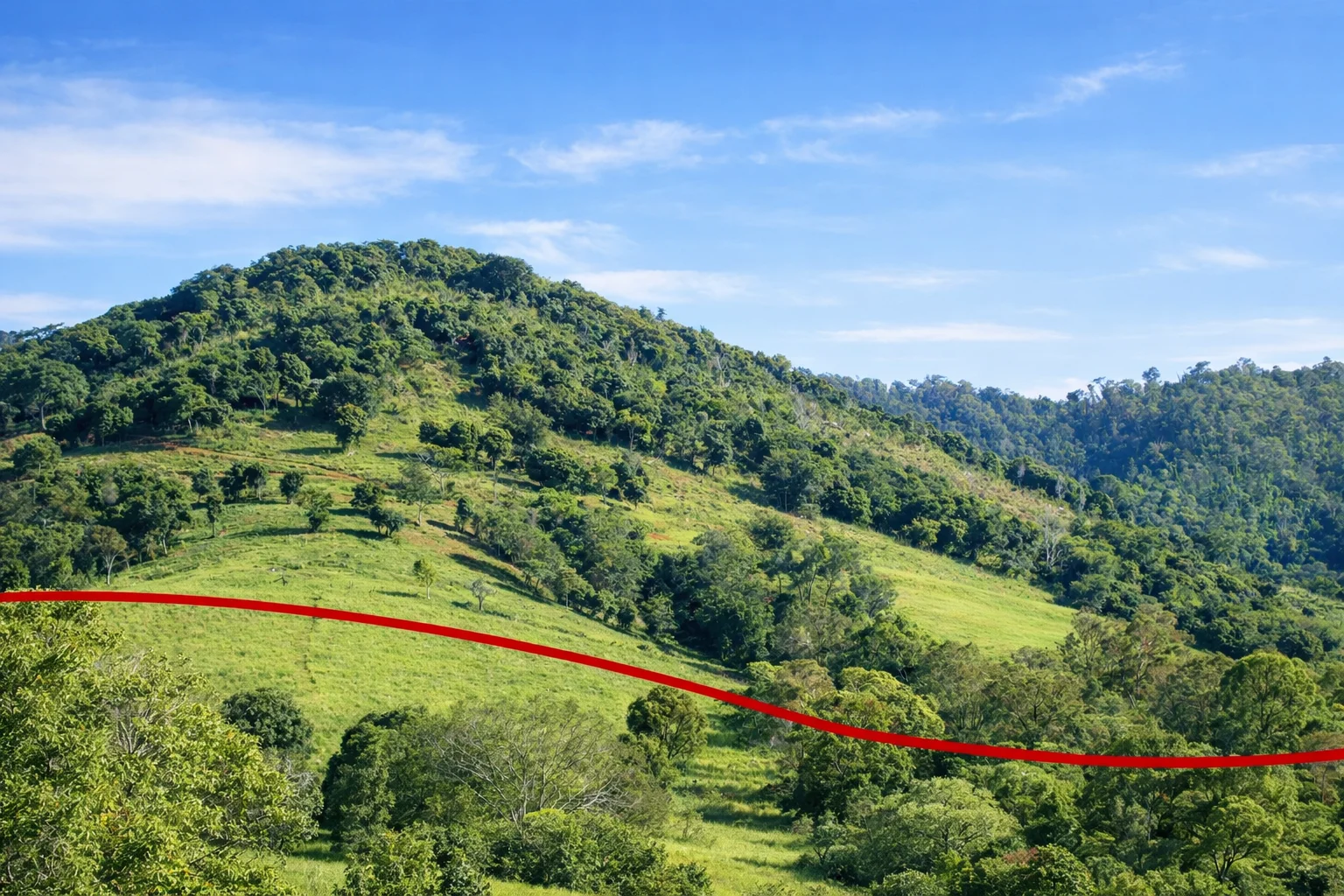 Additional image 12 of 205 Allen Road, Chatsworth QLD 4570