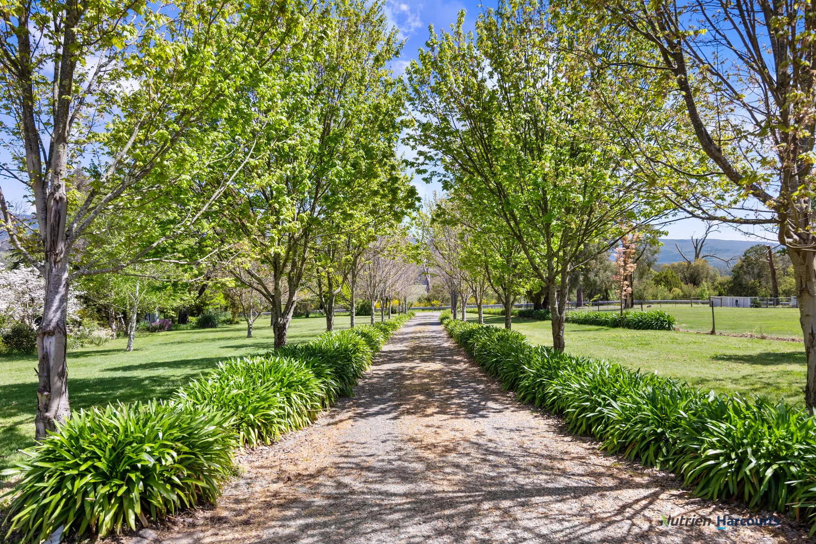 Additional image 4 of 2692 Maroondah Highway, Taggerty VIC 3714