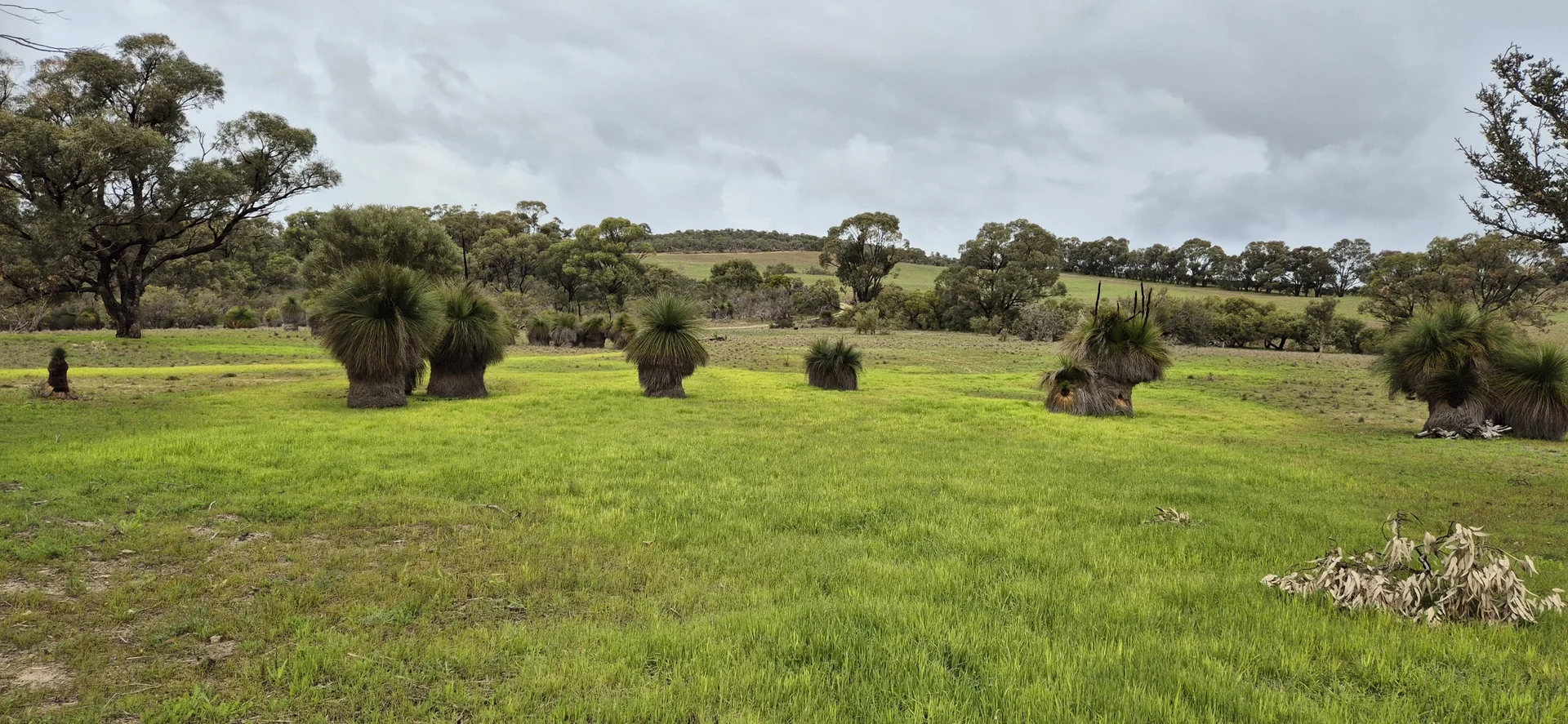 Additional image 20 of 197 Millbank Road, Cowalla WA 6503