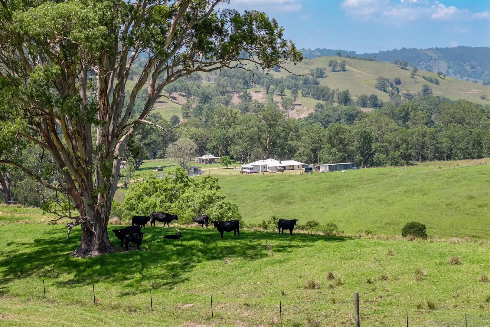 Additional image 18 of 321 Masseys Creek Road, Eccleston NSW 2311