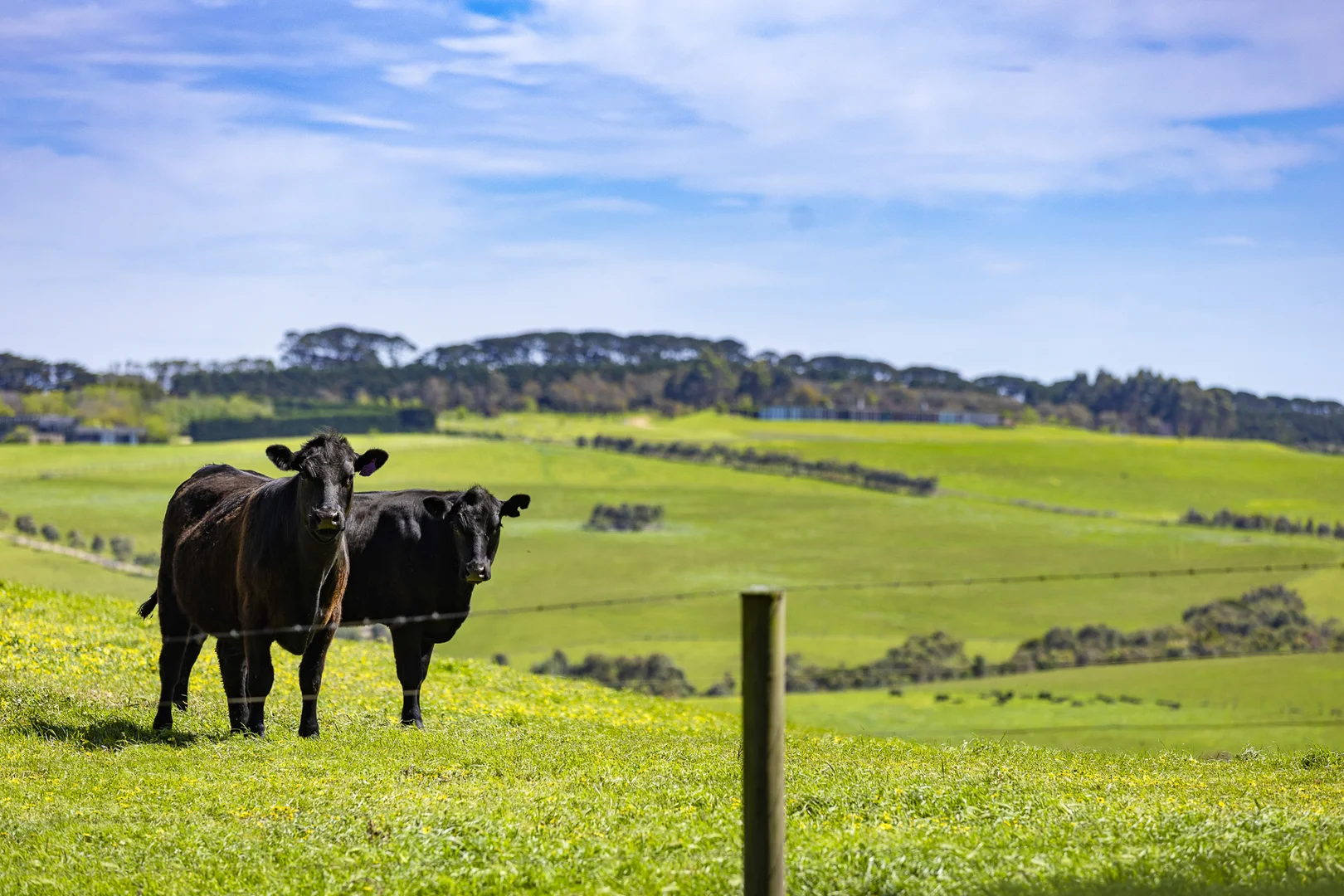 Additional image 4 of 390 Keys Road, Flinders VIC 3929