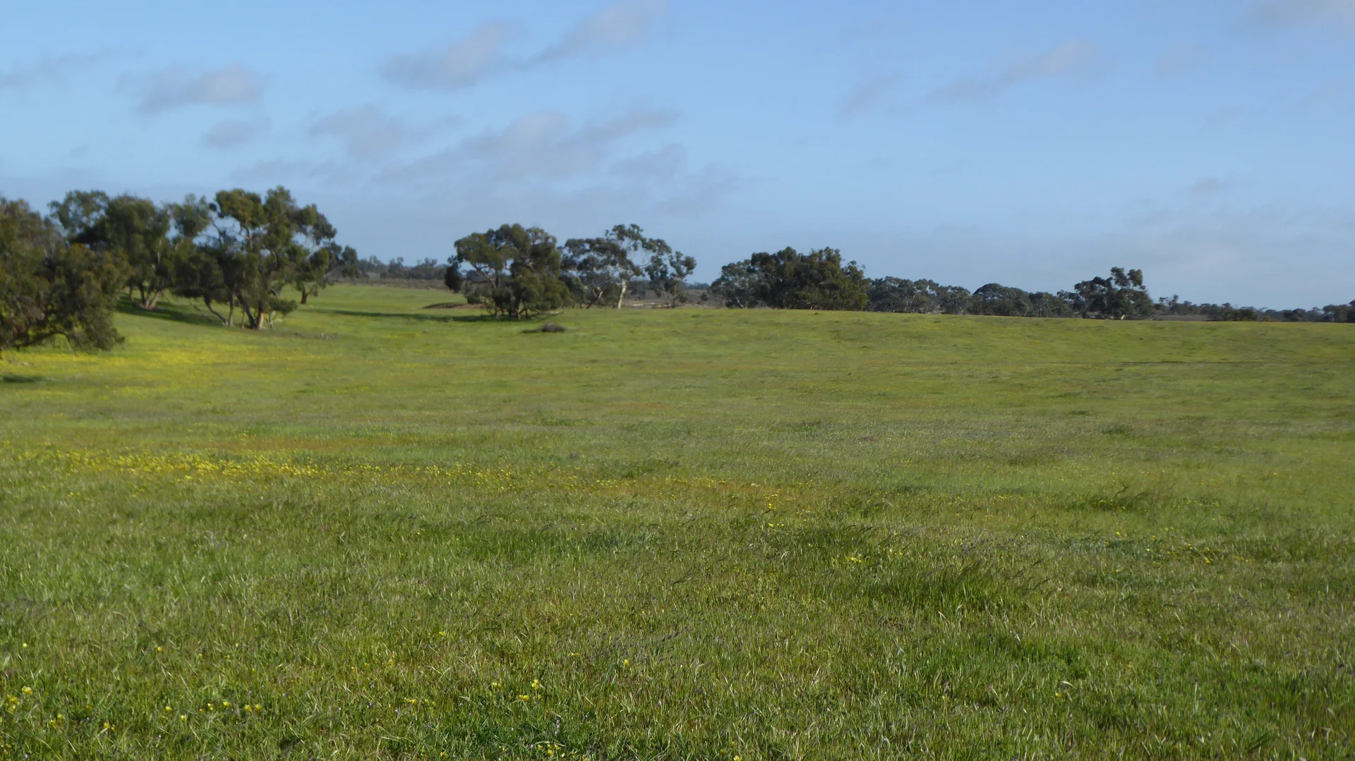 Additional image 10 of 2448 Bangham Road, Frances SA 5262