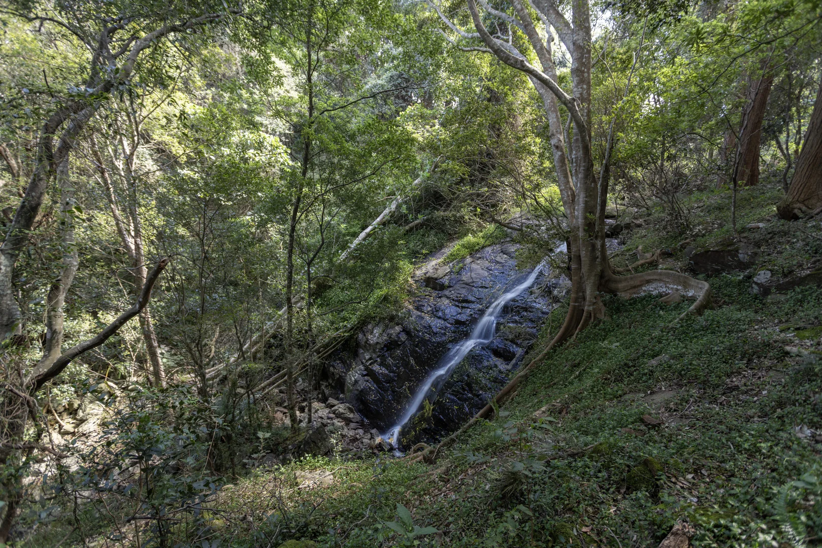 Additional image 21 of 'Eagleview Park' 98 Foxground Road, Foxground NSW 2534